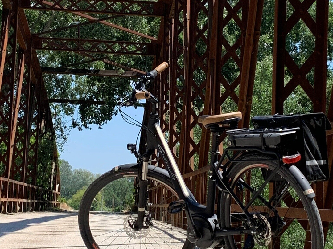 Bike Provence Decouverte景点图片