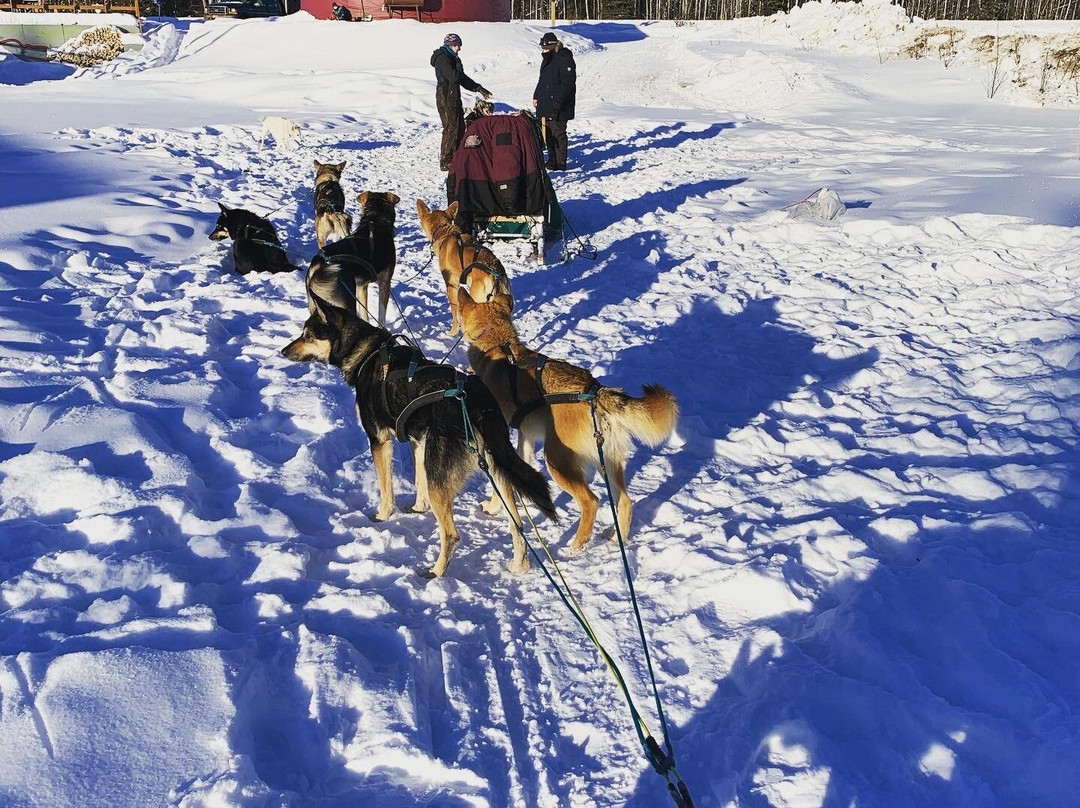 Chena Outdoor Collective-费尔班克斯必去景点