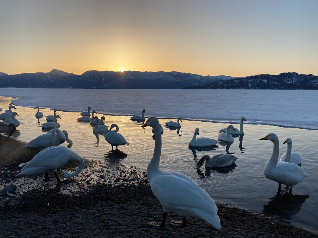 屈斜路湖砂湯-弟子屈町必去景点