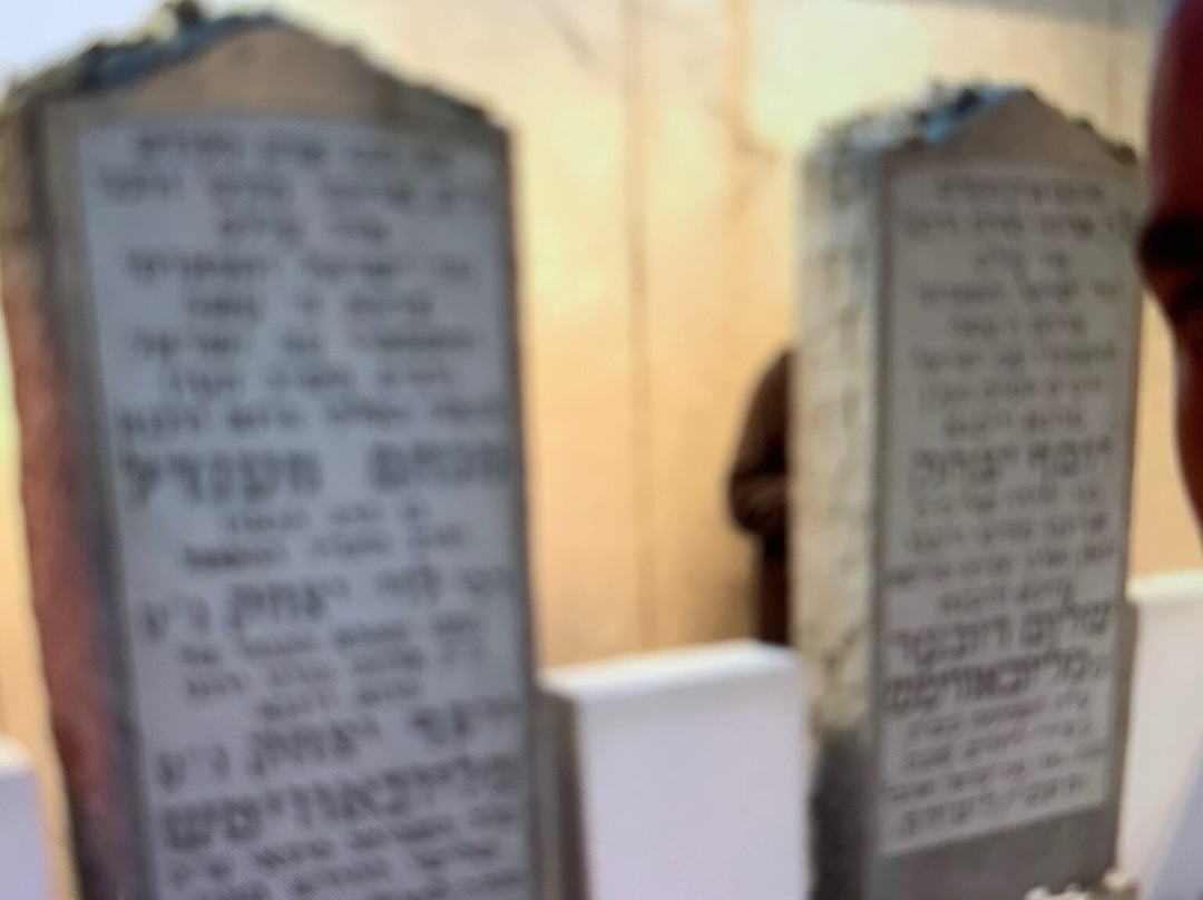 The Ohel-Cambria Heights必去景点