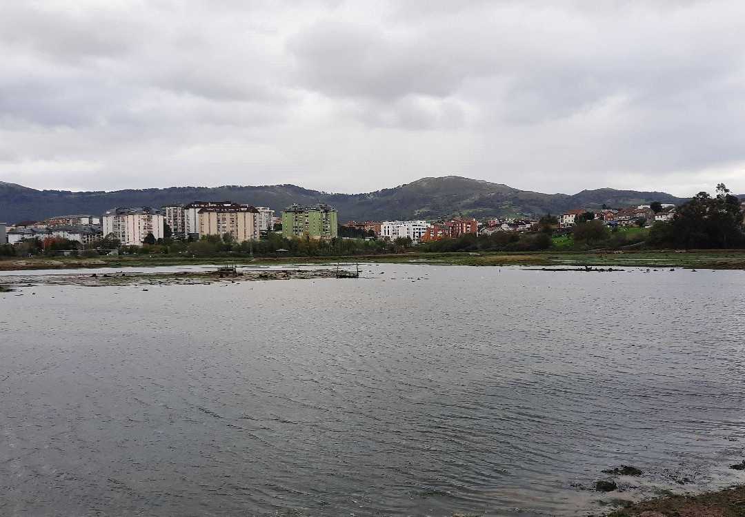 Marismas Blancas-El Astillero必去景点