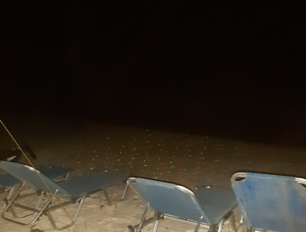 Oman Dive Center-马斯喀特必去景点