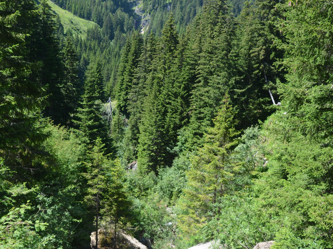 Escursione sul Sentiero Geologico alla Malga Prossliner景点图片