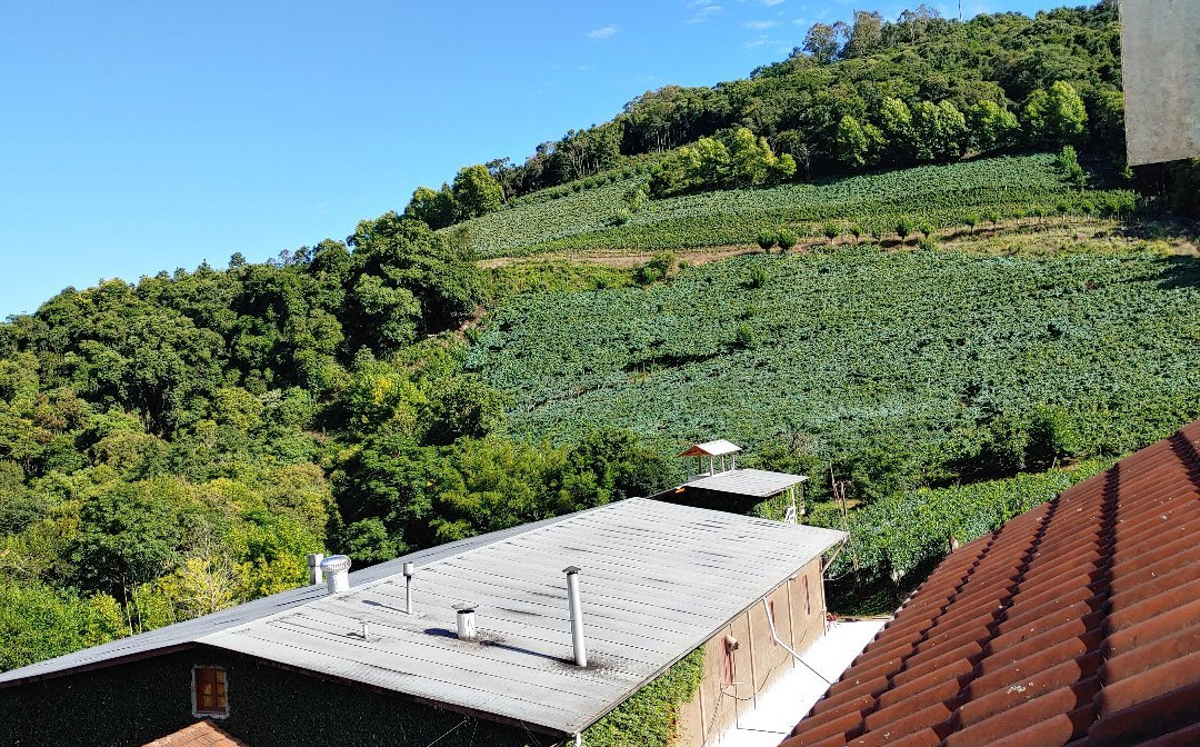 Peculiare Vinhos Únicos景点图片