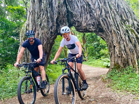 Kili Bike Adventures-莫西必去景点