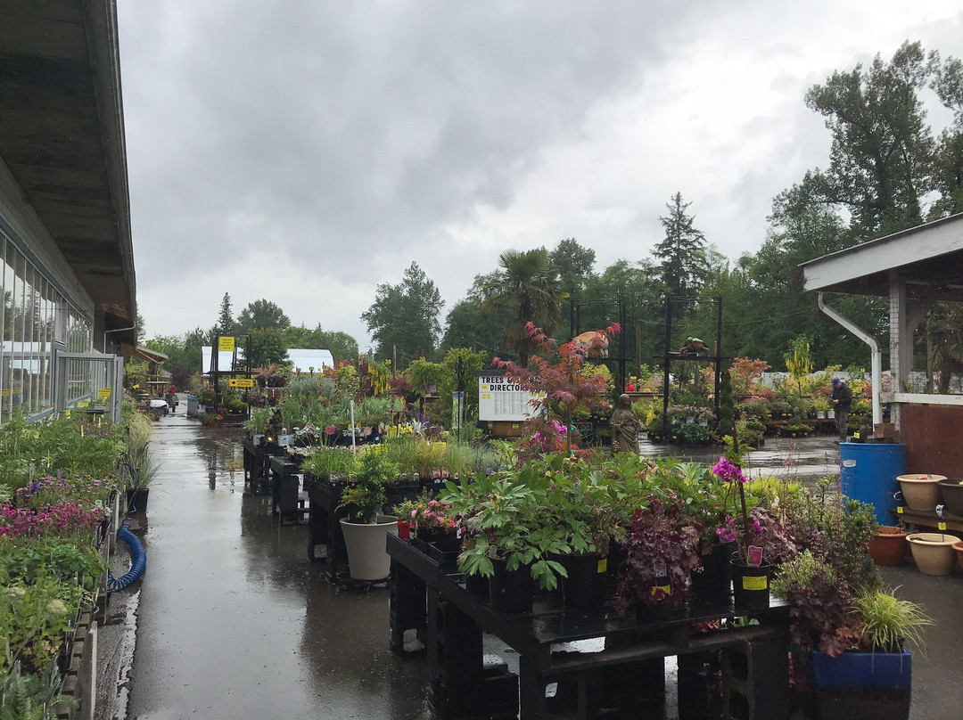 Port Kells Nurseries-素里必去景点