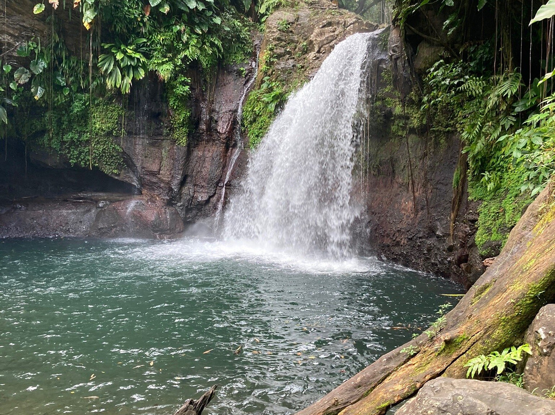 Saut de la Lézarde景点图片