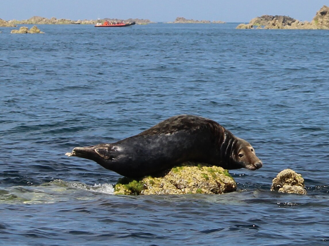 Bouley Bay Dive Centre-Trinity必去景点