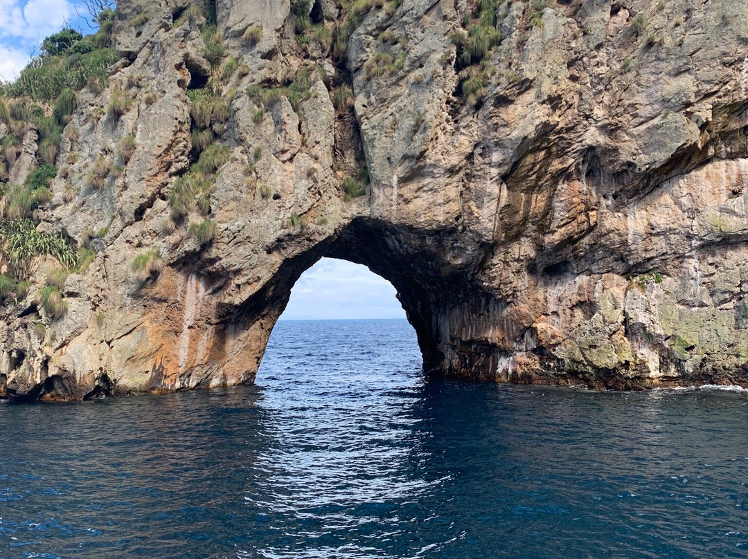 Yukon Dive-Tutukaka必去景点