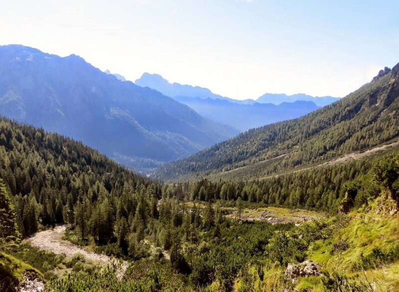 Parco Naturale Paneveggio Pale di San Martino景点图片