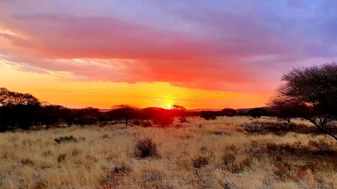 Imbasa Safari Lodge主图