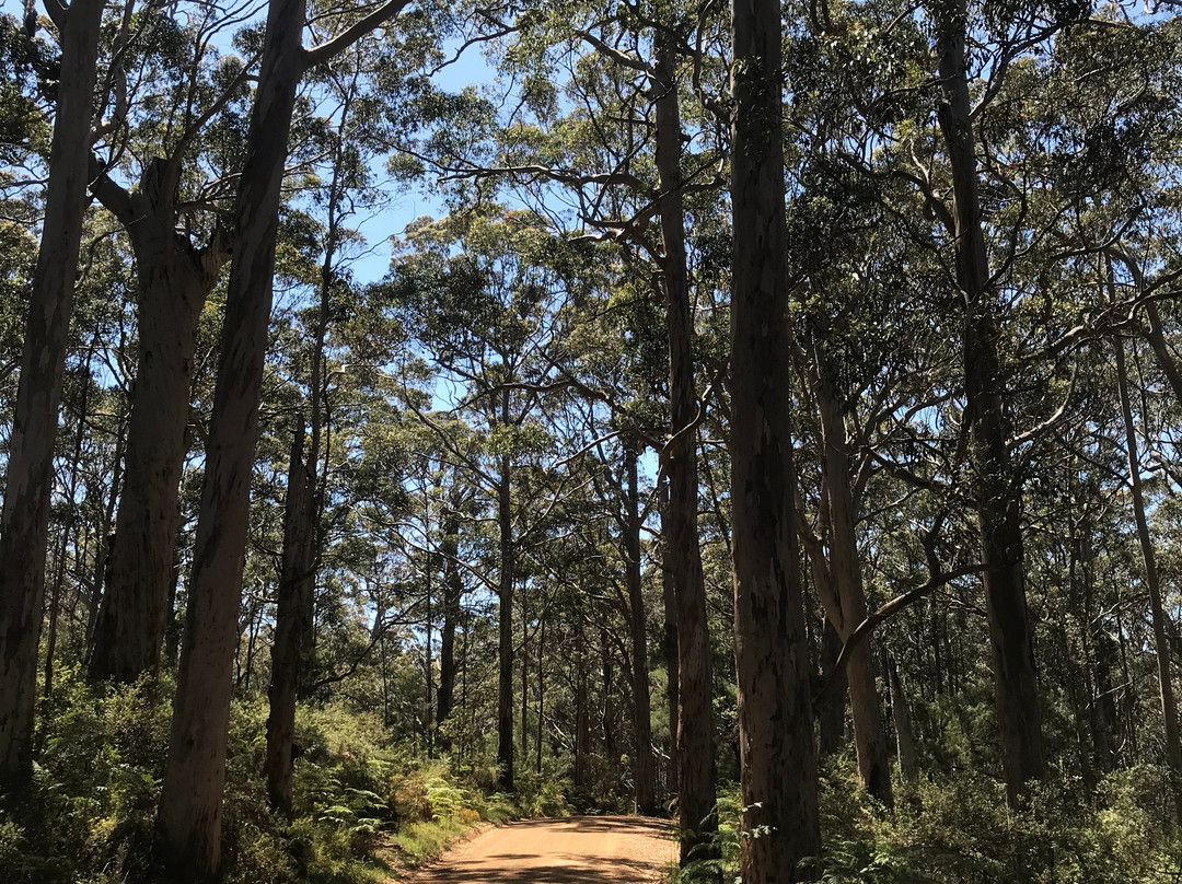 West Cape Howe National Park-奥尔巴尼必去景点