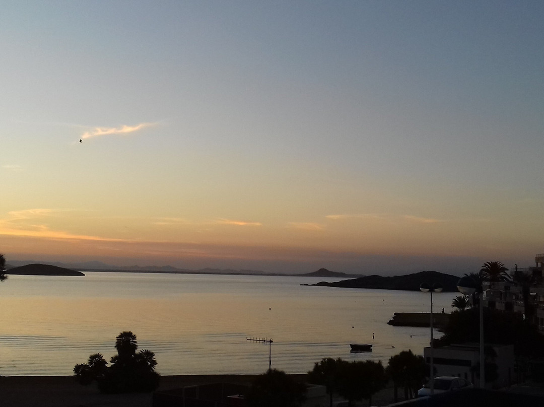 Peke Park-圣哈维尔必去景点