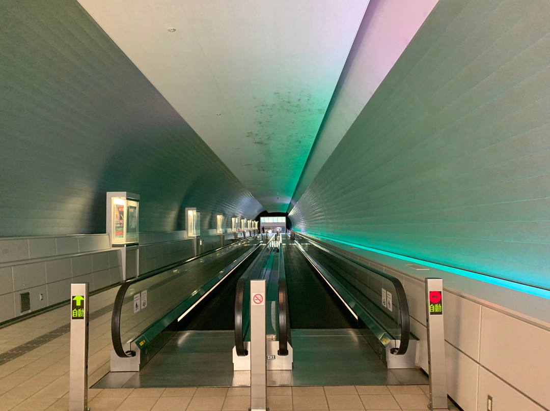 Rainbow Tunnel景点图片