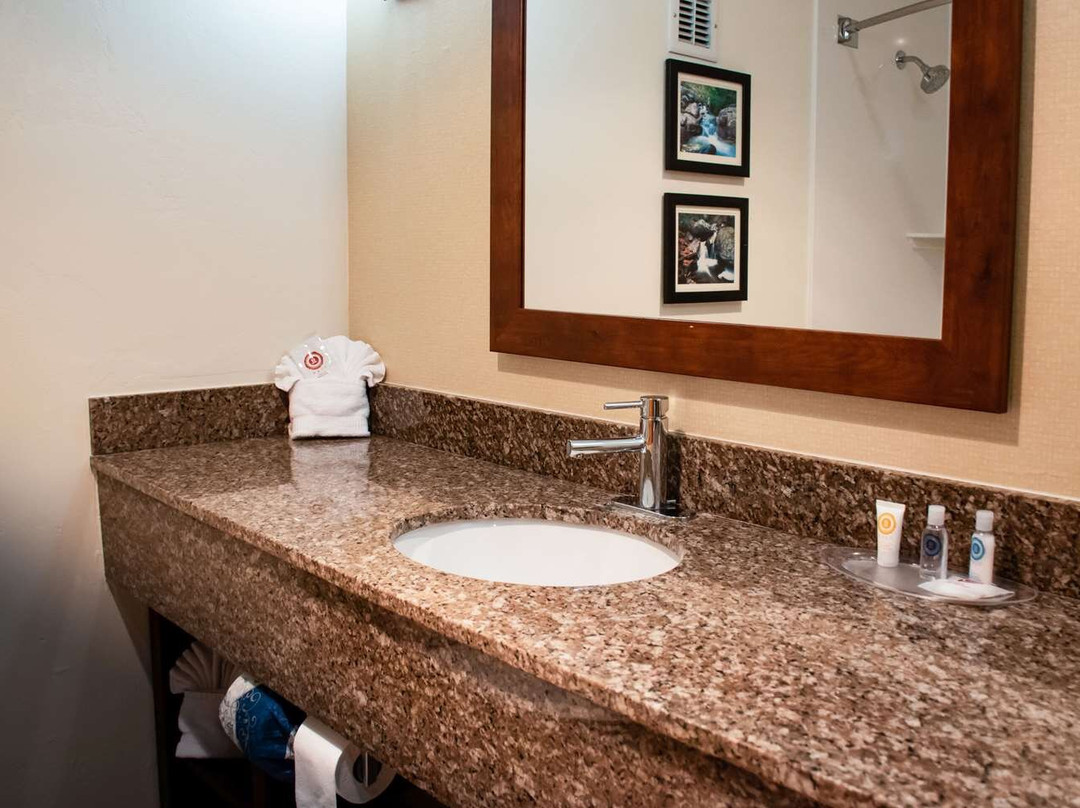 Comfort Suites Ogden主图