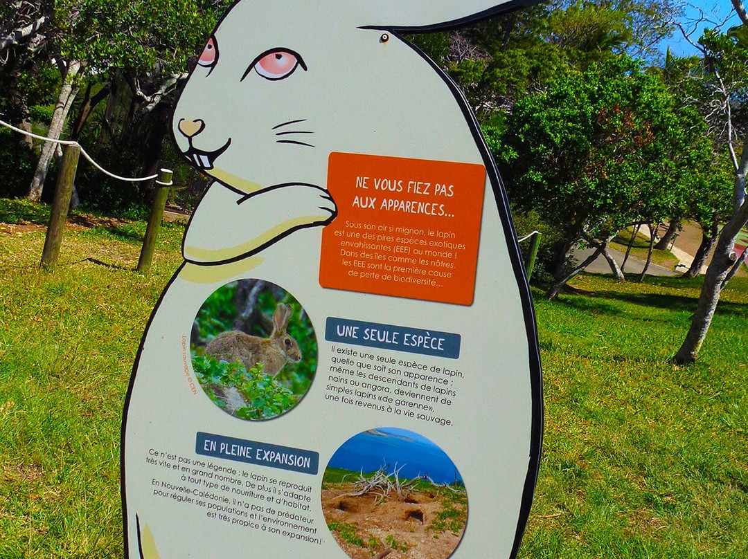 Parc zoologique et forestier-努美阿必去景点