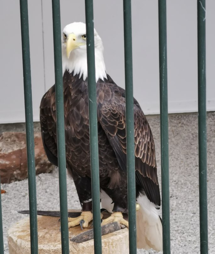 Burg Kasselburg-Pelm必去景点