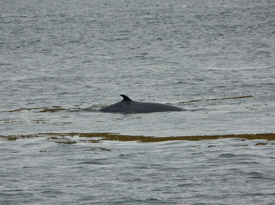 Mer et Monde Ecotours-Les Bergeronnes必去景点