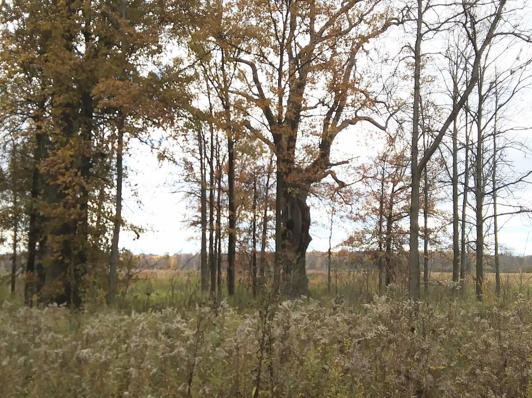 Algonac State Park-Marine City必去景点