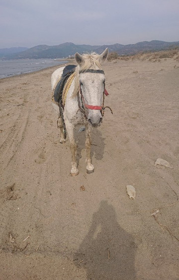 Kusadasi Excursions-库萨达斯必去景点