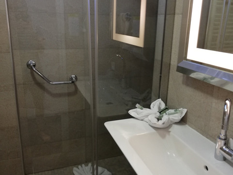 拿破仑酒店主图