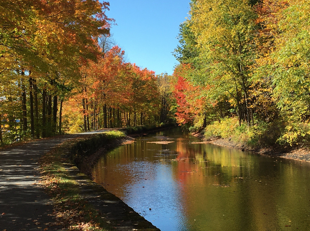 Feeder Canal Trail景点图片