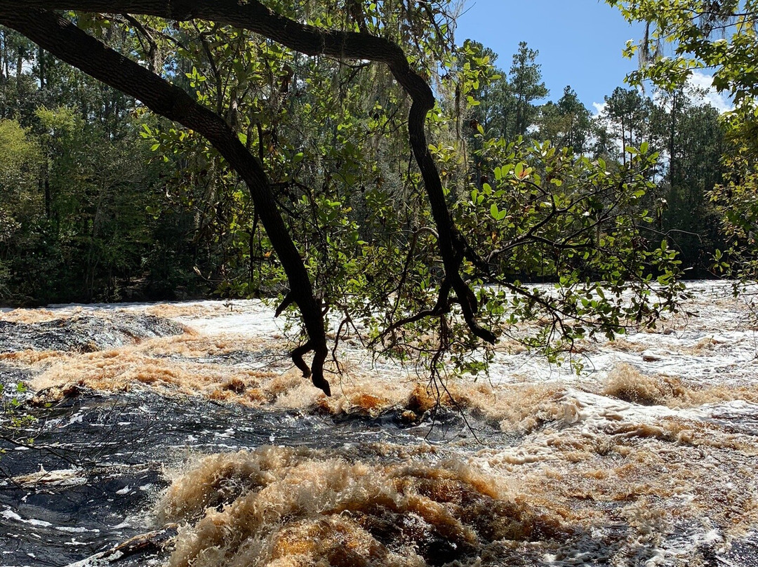 Big Shoals State Park-White Springs必去景点