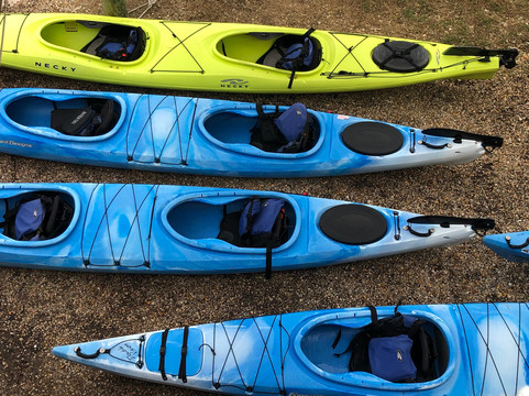 Coastal Expeditions-福利比奇必去景点