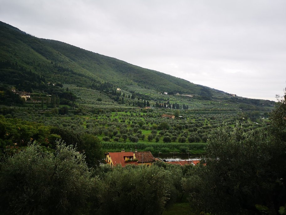 Podere La Contessa B&B主图