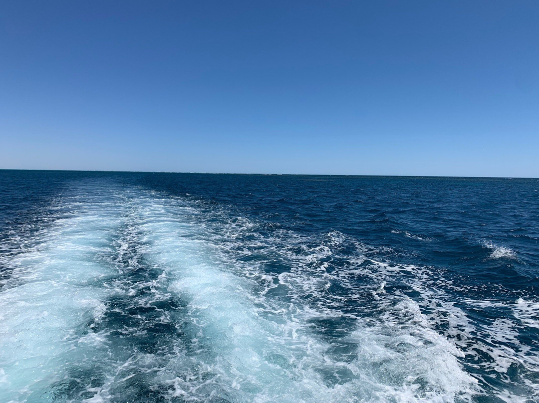 Coral Bay Ecotours-珊瑚湾必去景点