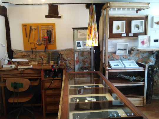 Sara Serna  Joyas-Covarrubias必去景点