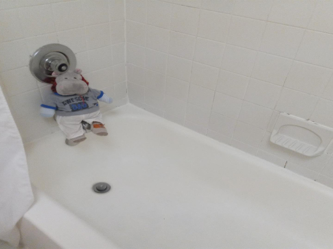 泰森斯角康福特茵酒店主图