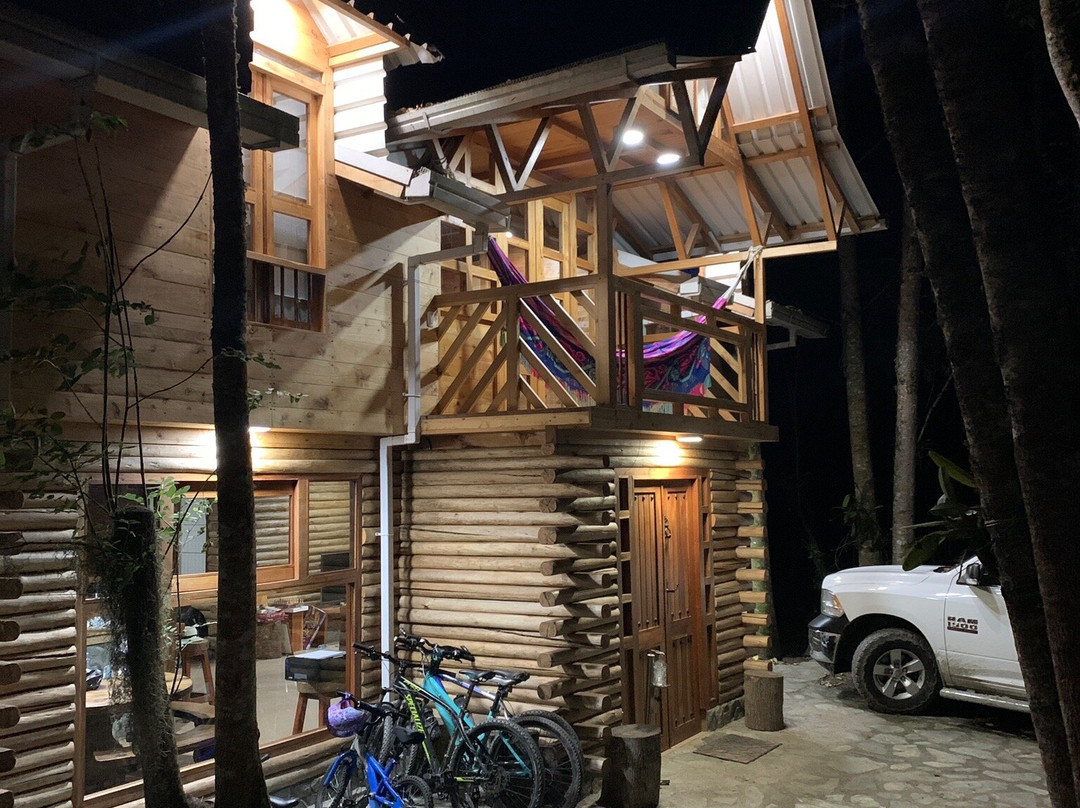 Urapanes Del Bosque主图