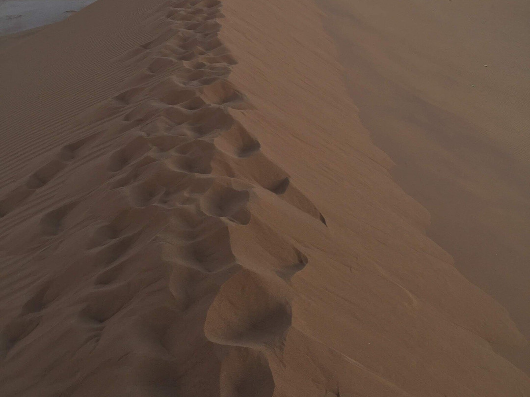 Sahara Travelling-迈哈米德必去景点