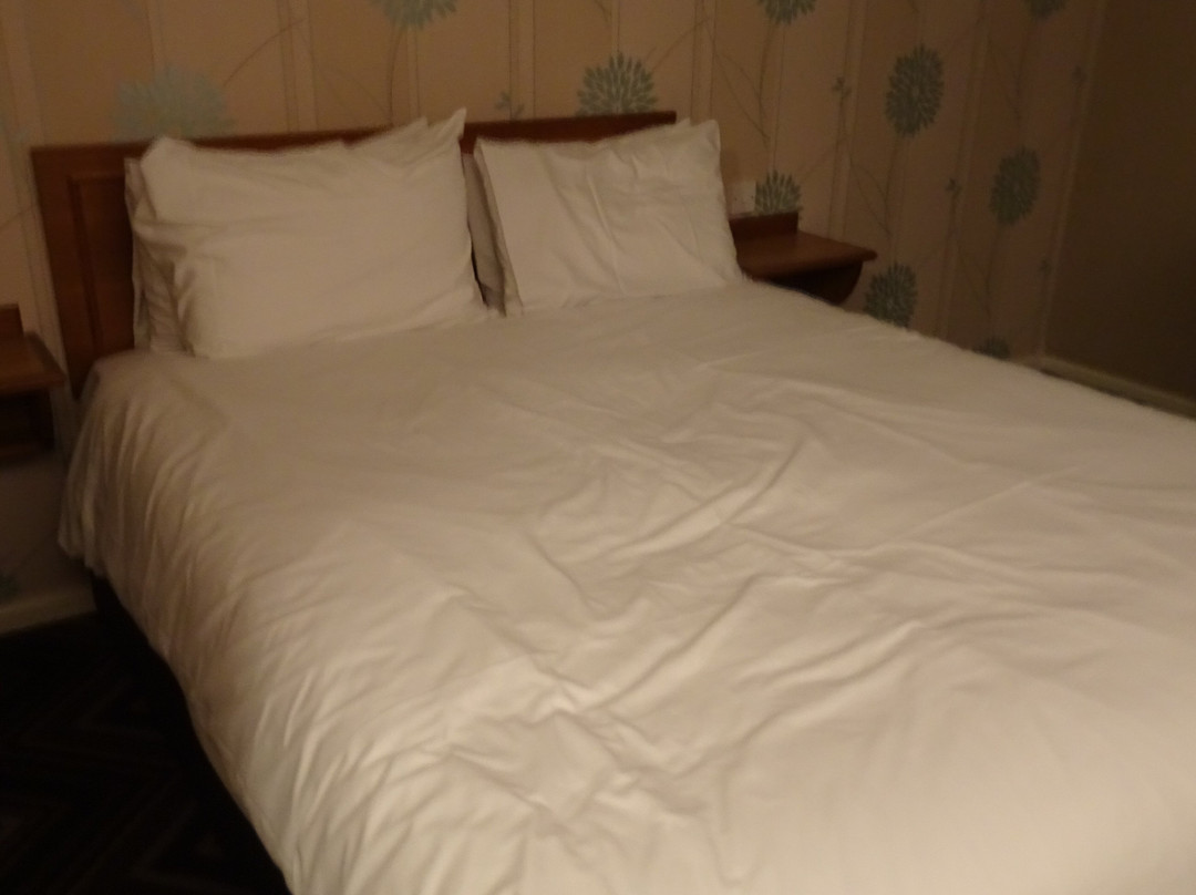 Bridge Inn Hotel主图