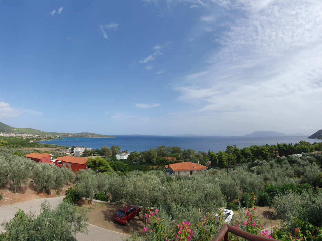 伊阿拉斯酒店主图