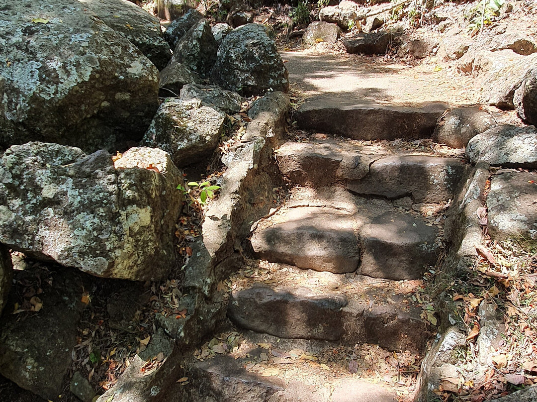 Ocean View Lookout Track-伯利角必去景点