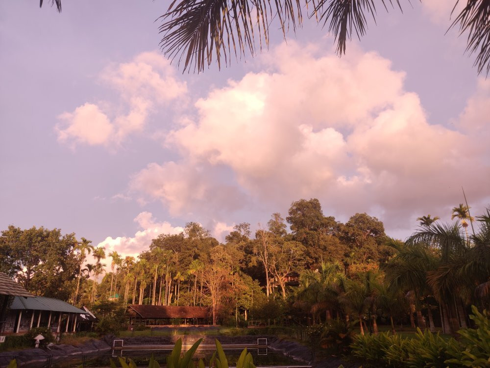 Monogram Resorts Wayanad主图