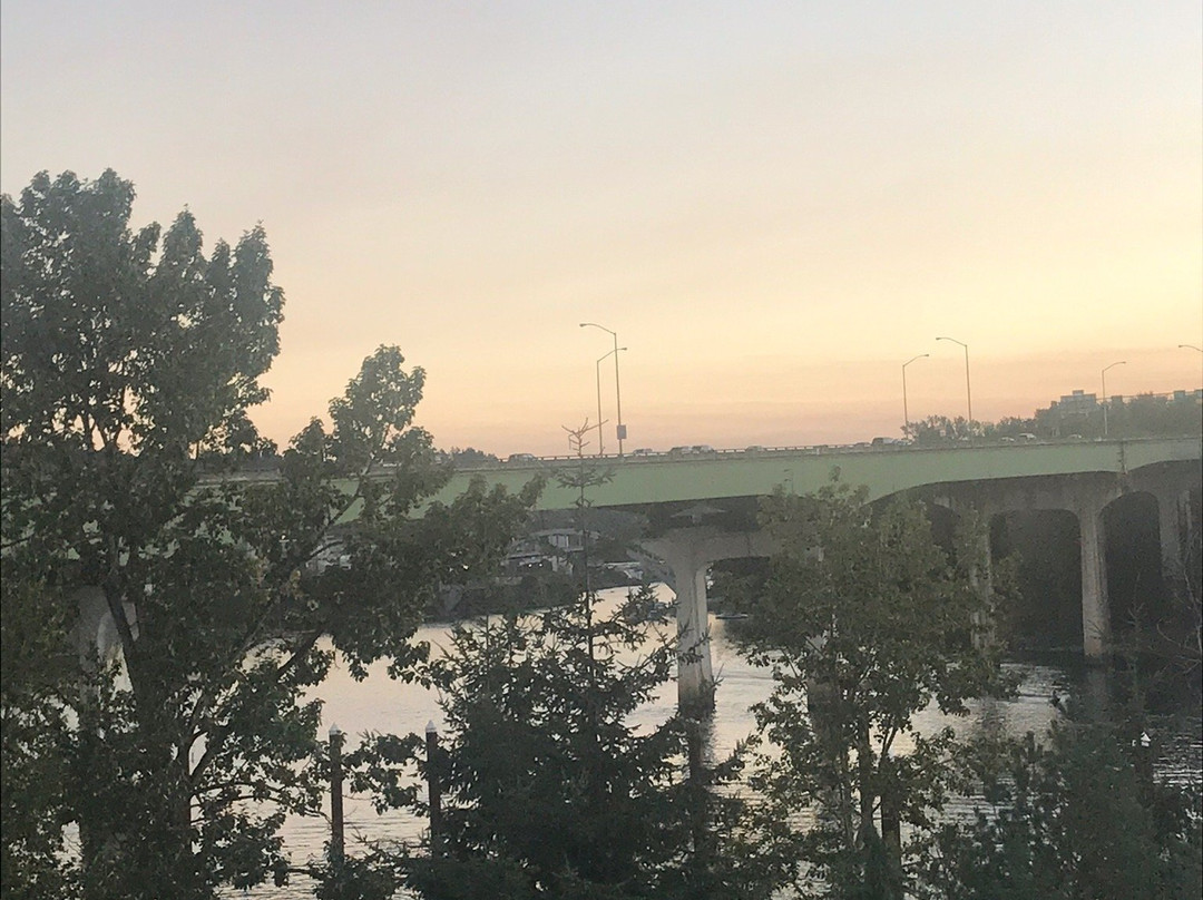 贝斯特韦斯特普勒斯河岸酒店主图