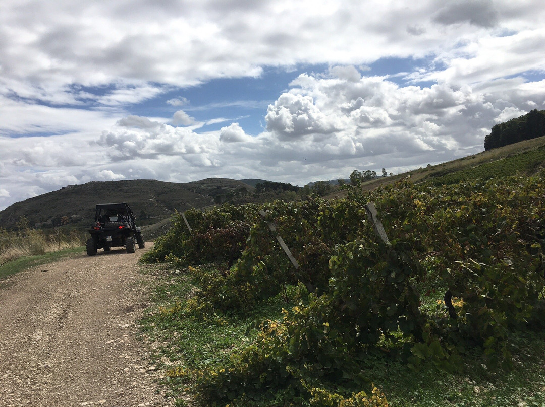 Segesta Tour 4x4-戈尔福海堡必去景点