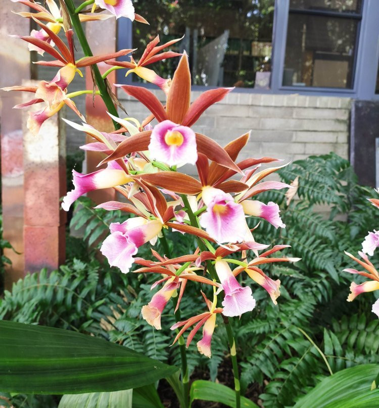 麦凯汽车旅馆主图