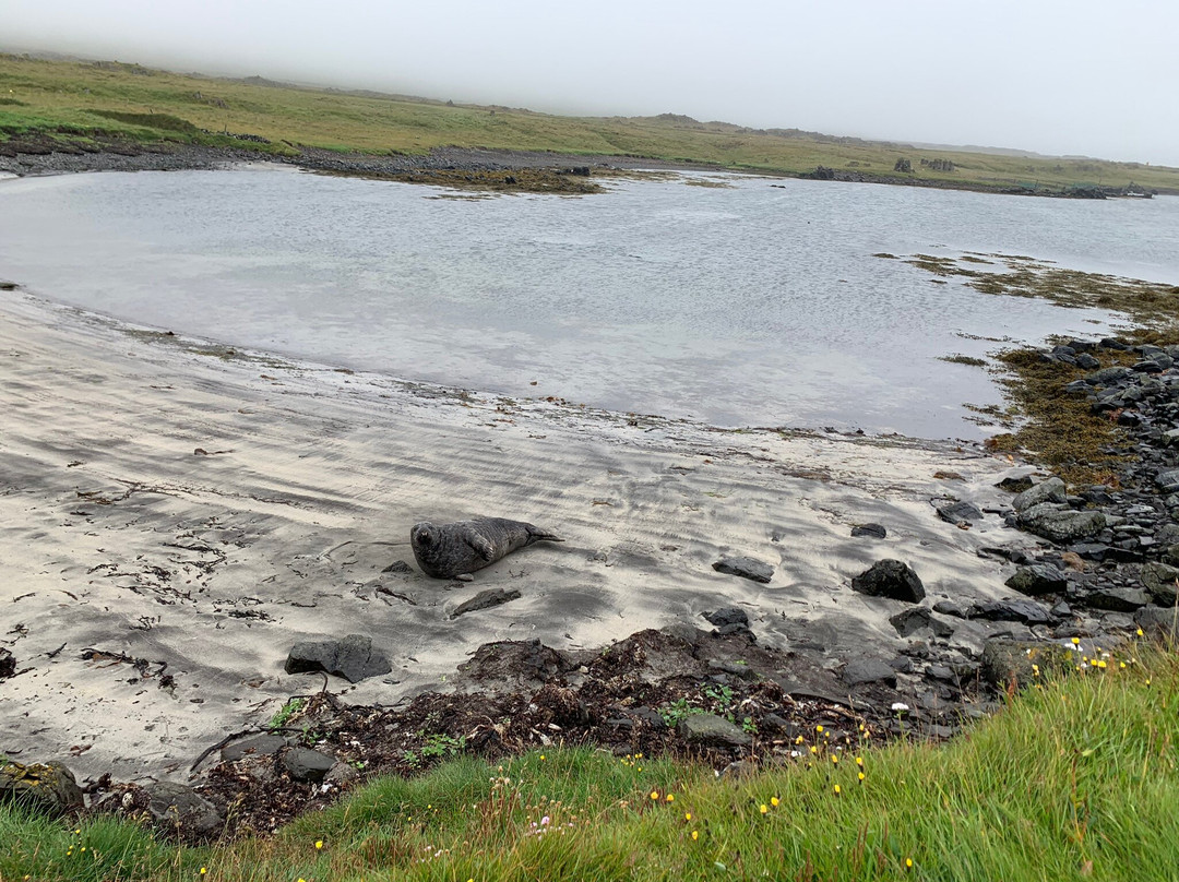 Illugastaðir Farm-Bifrost必去景点