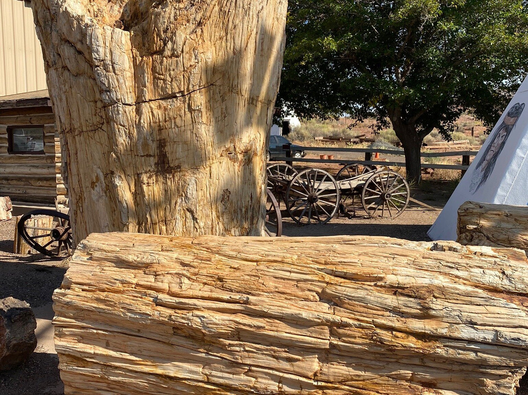 Geronimo's Trading Post-霍尔布鲁克必去景点