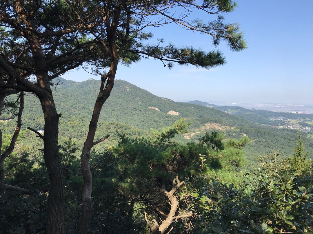 Yeonginsan-牙山市必去景点