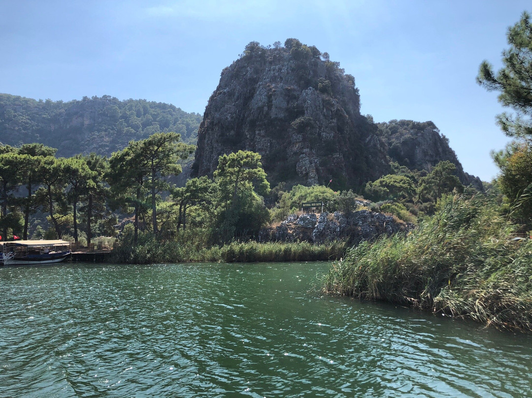 Dalyan Special Environmental Protection Area景点图片