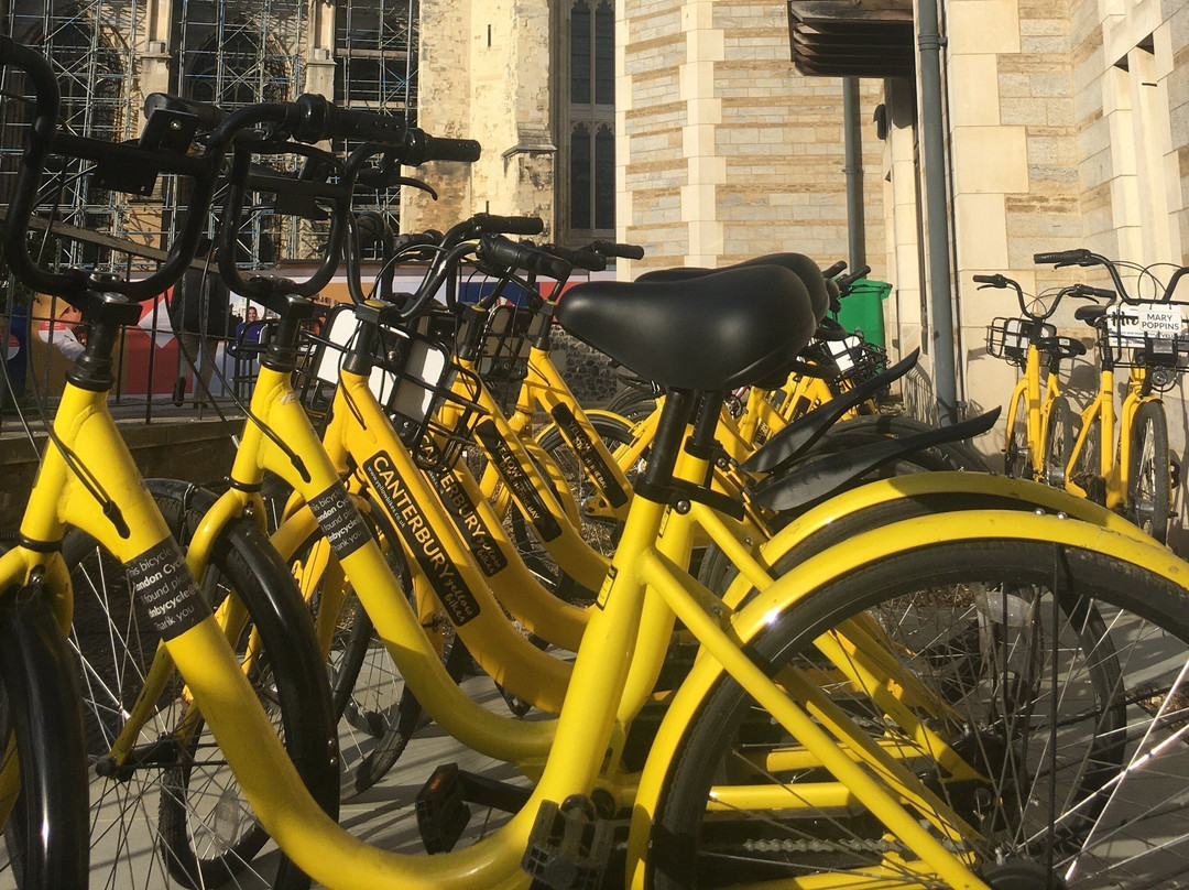 Yellow Bikes & Scooter Hire景点图片