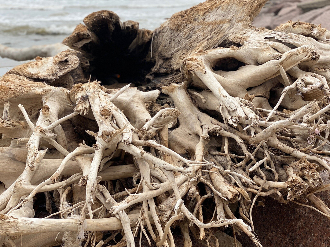 Surfside Jetty Park-Surfside Beach必去景点
