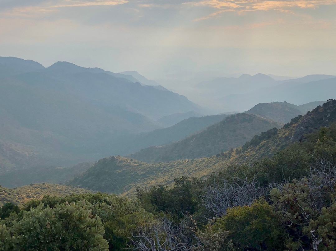 Mount Tipton Wilderness Reserve景点图片