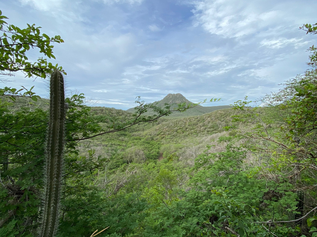 Christoffelpark-Sabana Westpunt必去景点