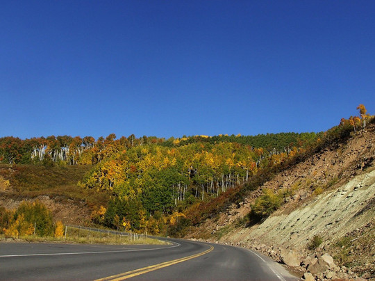 Tripvia Tours-戈尔登必去景点